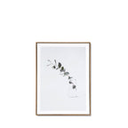 Quadro Jar 50x70cm Carvalho