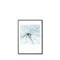 Quadro Dandelion 1 - 50x70cm preto