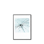 Quadro Dandelion 1 - 50x70cm preto