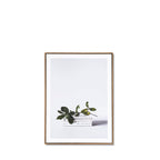 Quadro Book 50x70cm Carvalho