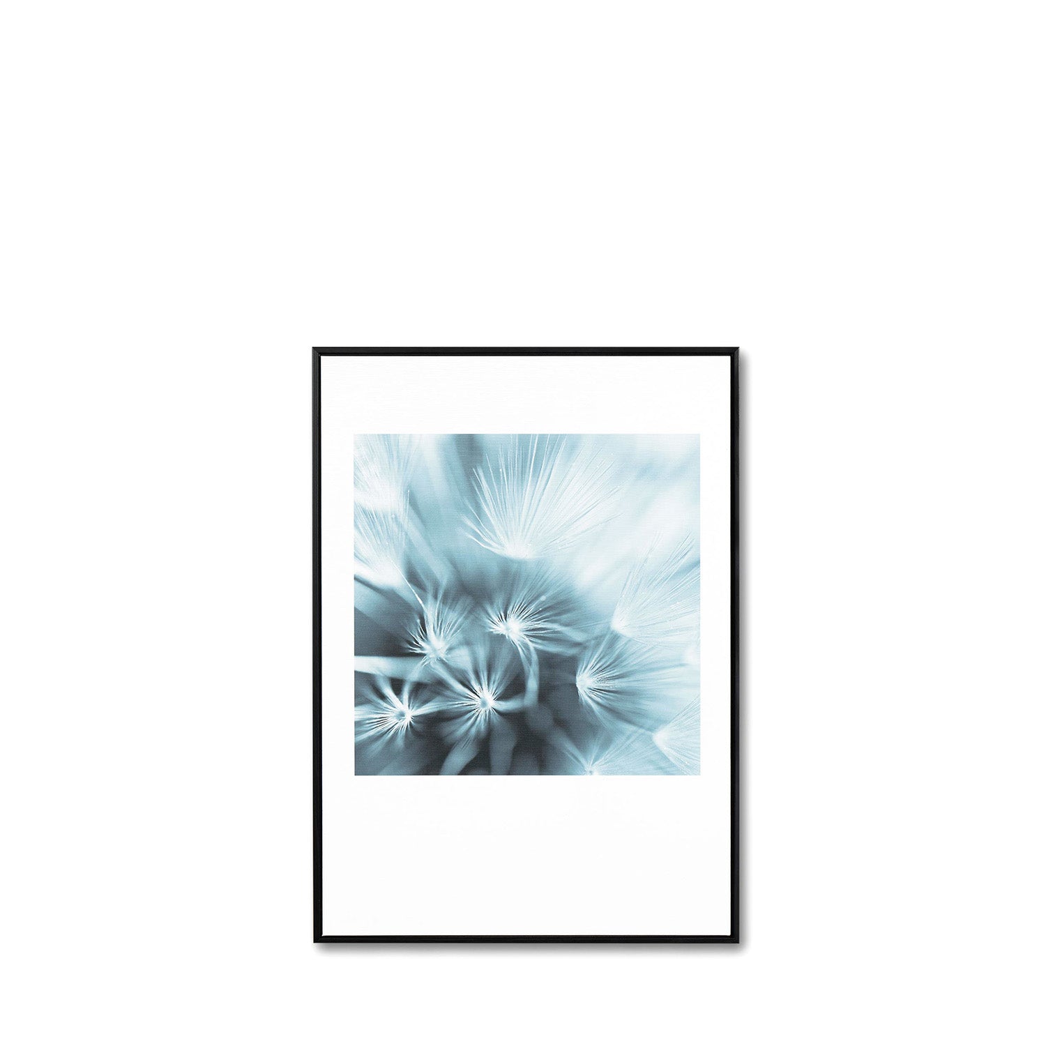 Quadro Dandelion 3 -  5x70cm preto