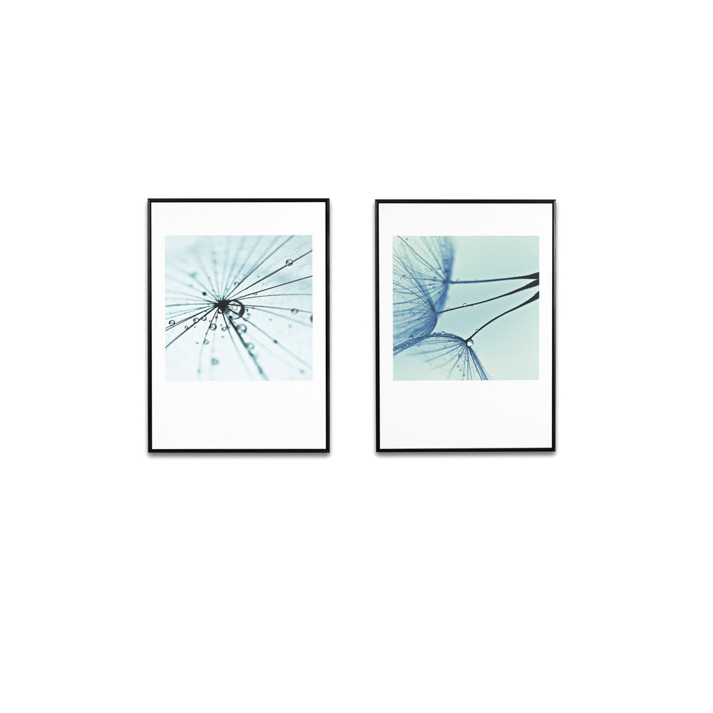 Quadro Dandelion 1 - 50x70cm preto
